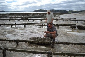 Two guys on the oyster farm - having a feed