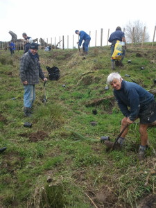 Otamatea HarbourCare members - the farmer front left - getting stuck in planting natives to improve water run off into the Kaipara Harbour.